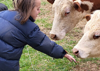 At the Farm